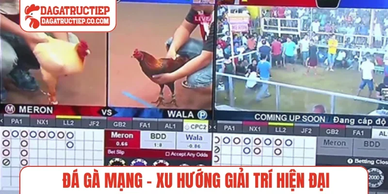 đá gà mạng
